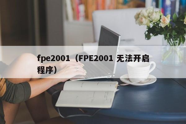 fpe2001（FPE2001 无法开启程序）
